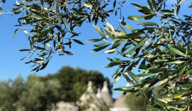 Trullo Genesi