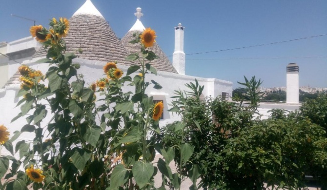 Trullo in piena valle d'itria