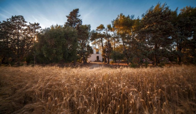 Masseria Fracchicchi