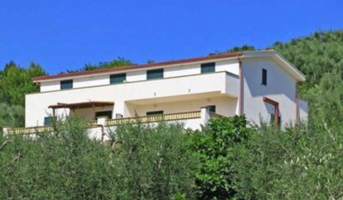 Villa immersa nel verde