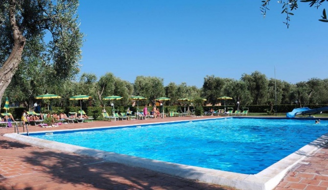 Villaggio Turistico Camping Parco Degli Ulivi